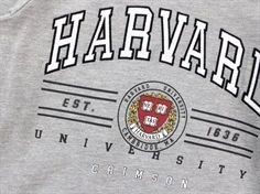 Name It sweatshirt grey melange harvard university